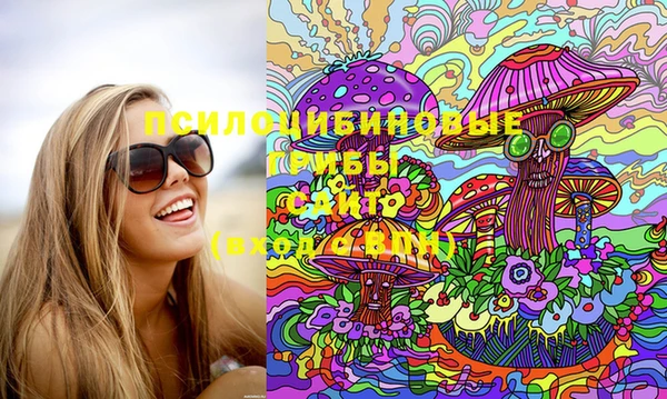 ГАЛЛЮЦИНОГЕННЫЕ ГРИБЫ Балабаново