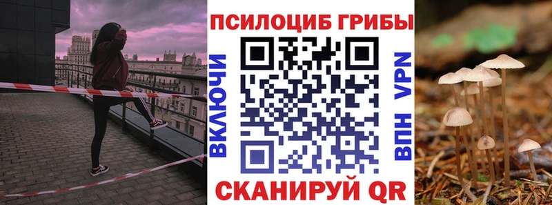 хочу наркоту  Омутнинск  Галлюциногенные грибы прущие грибы 